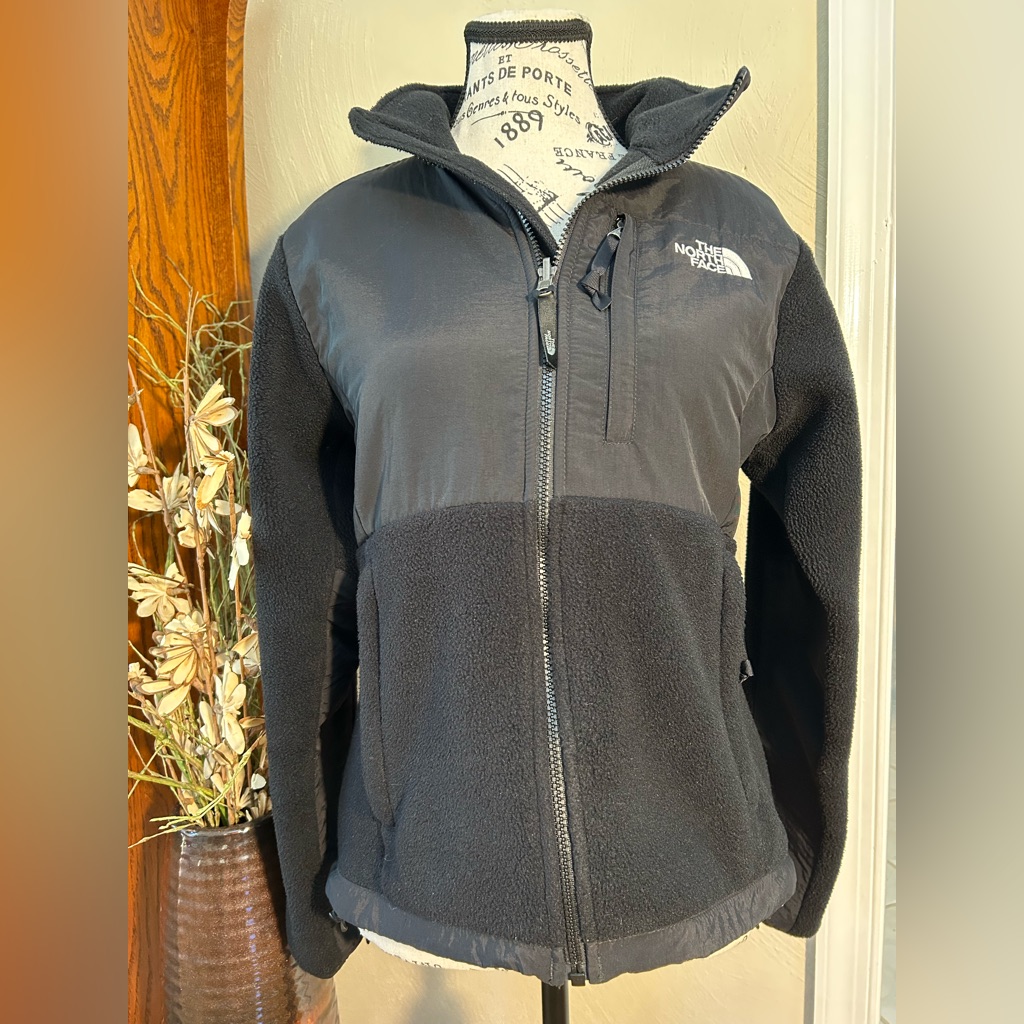 North Face Denali Jacket (Worn 2 X)